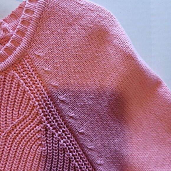Talbot Pink and Warm Minimalist 2X Sweater 2021 - Picture 3 of 7